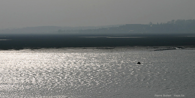Baie de Somme (France)