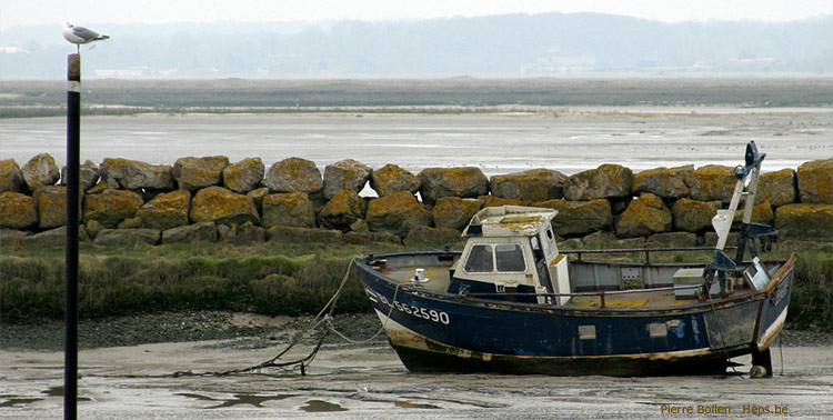 Baie de Somme (France)