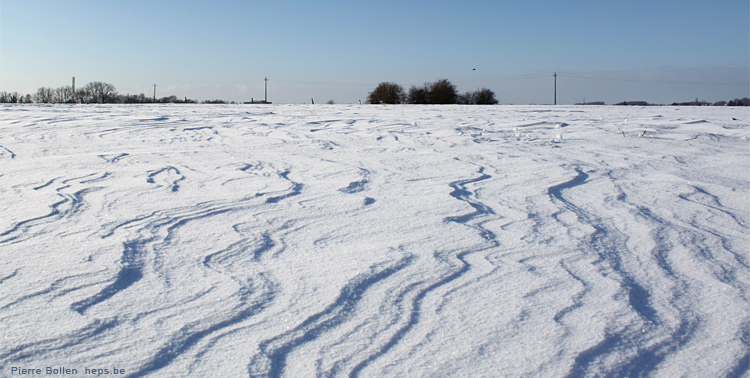 Vagues de neige ...