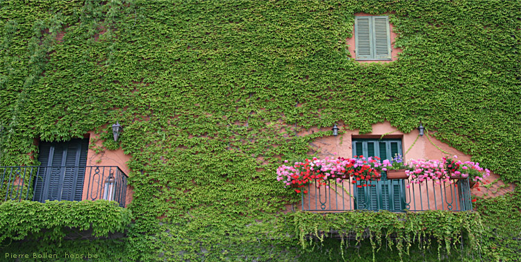 Plus de probl�me de peinture :o)