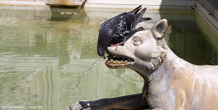 M�me pas peur ... (fontaine Siena)