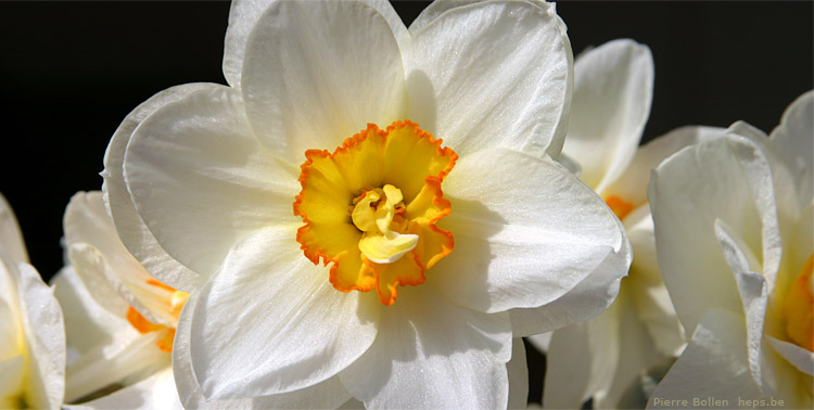 C'est le printemps, �a fait du bien :o))