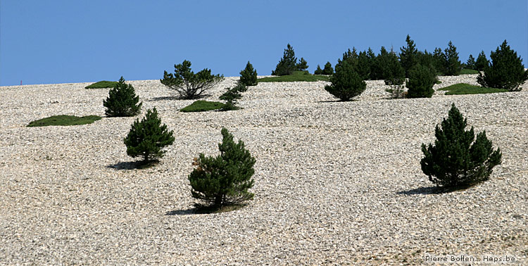 Le Mont Ventoux (France)
