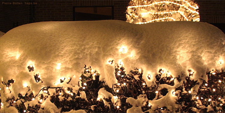 Sale temps pour les guirlandes ...