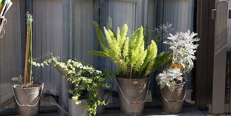 D�coration toute simple d'une fen�tre