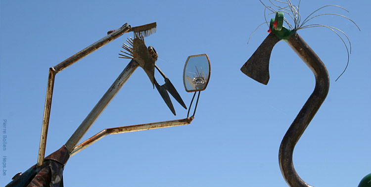 De dr�les d'oiseaux ...