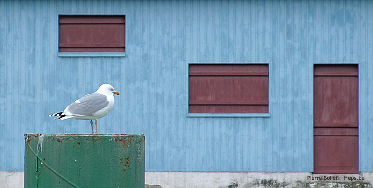 Le Tr�port (France)